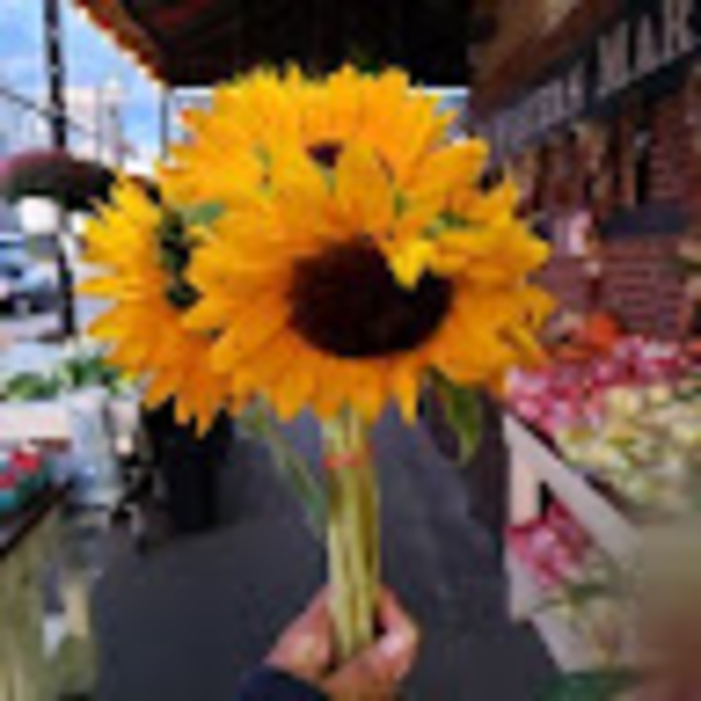 Meet your Posher, Lavenderelizabeth